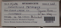 Image Associated With the Occurence
